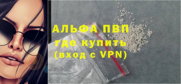 дживик Абаза