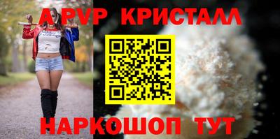 амф Кингисепп