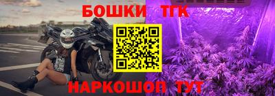 амф Кингисепп
