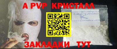амф Кингисепп